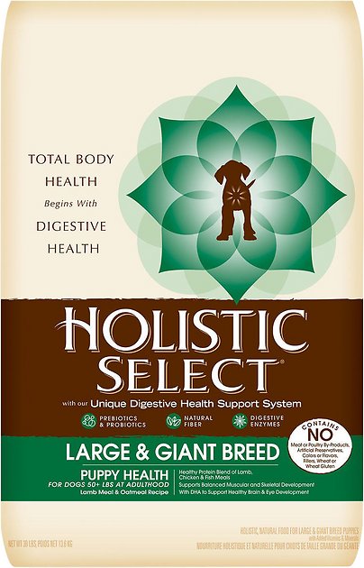 Holistic Select Large & Giant Breed Puppy Health Lamb Meal & Oatmeal Recipe Dry Dog Food