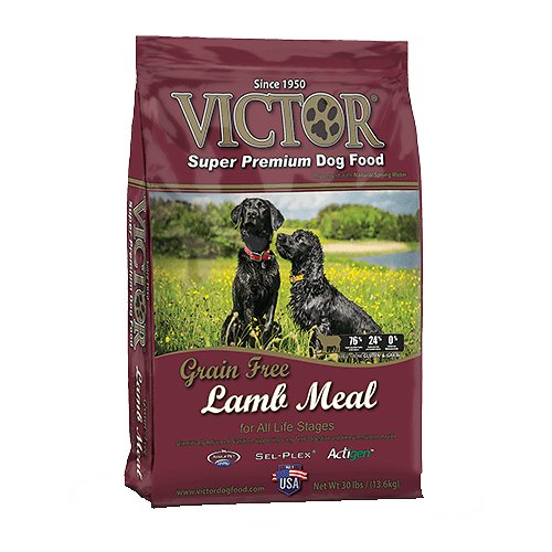 Victor Lamb Grain-Free Dry Dog Food