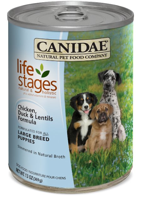 CANIDAE Life Stages Chicken, Duck & Lentils Formula Large Breed Puppy Canned Dog Food, 13-oz, case of 12