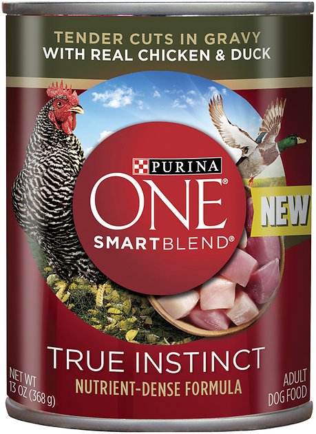 Purina ONE SmartBlend True Instinct Tender Cuts in Gravy with Real Chicken & Duck Canned Dog Food, 13-oz, case of 12