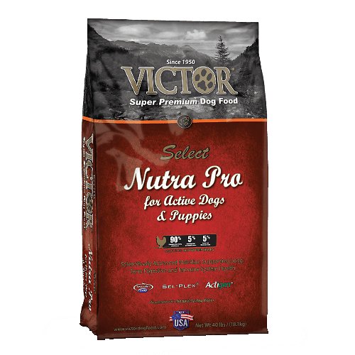 Victor Select Nutra Pro Active Dog & Puppy Formula Dry Dog Food