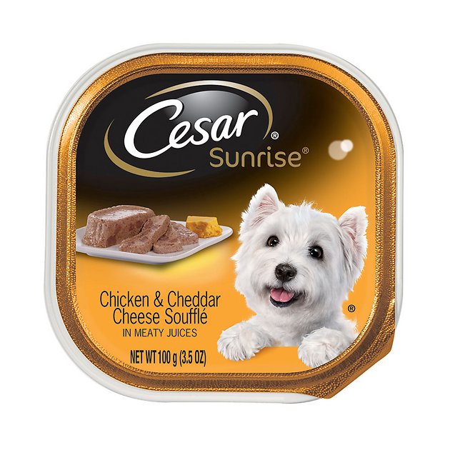 Cesar Sunrise Breakfast Chicken & Cheddar Cheese Souffle Dog Food Trays, 3.5-oz, case of 24