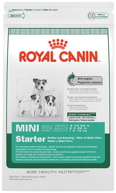 Royal Canin Mini Starter Mother & Babydog Dry Dog Food