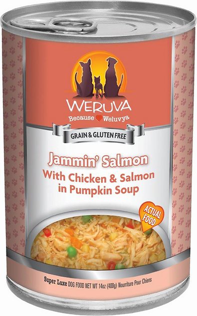 Weruva Jammin' Salmon with Chicken & Salmon in Pumpkin Soup Grain-Free Canned Dog Food