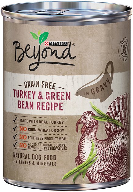 Purina Beyond Turkey & Green Bean Recipe in Gravy Grain-Free Canned Dog Food, 12.5-oz, case of 12