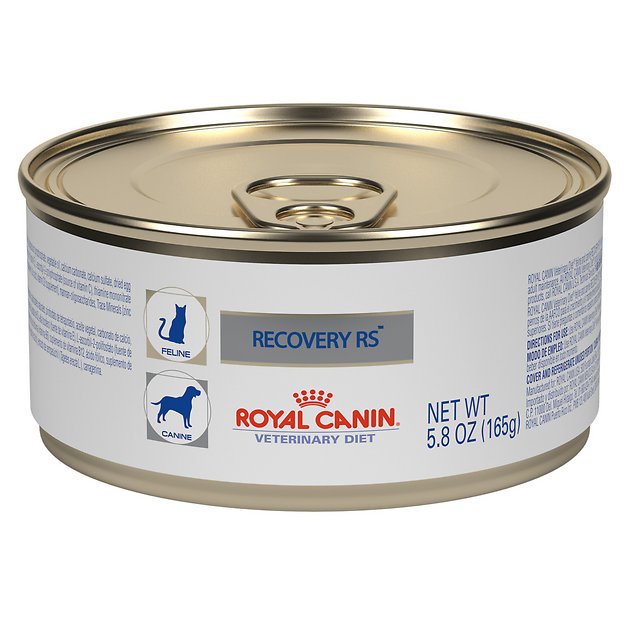 Royal Canin Veterinary Diet Recovery RS Canned Dog & Cat Food, 5.8-oz, case of 24