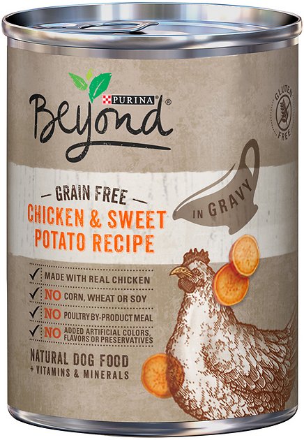 Purina Beyond Chicken & Sweet Potato Recipe in Gravy Grain-Free Canned Dog Food, 12.5-oz, case of 12