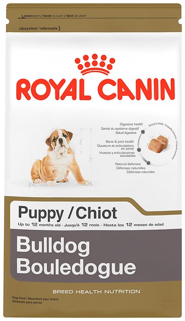 Royal Canin Bulldog Puppy Dry Dog Food