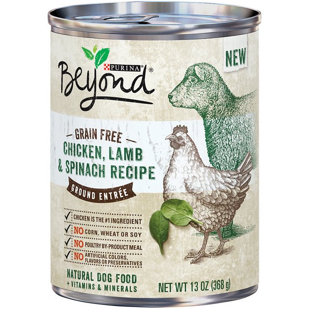 Purina Beyond Grain-Free Chicken, Lamb & Spinach Recipe Ground Entree Canned Dog Food, 13-oz, case of 12