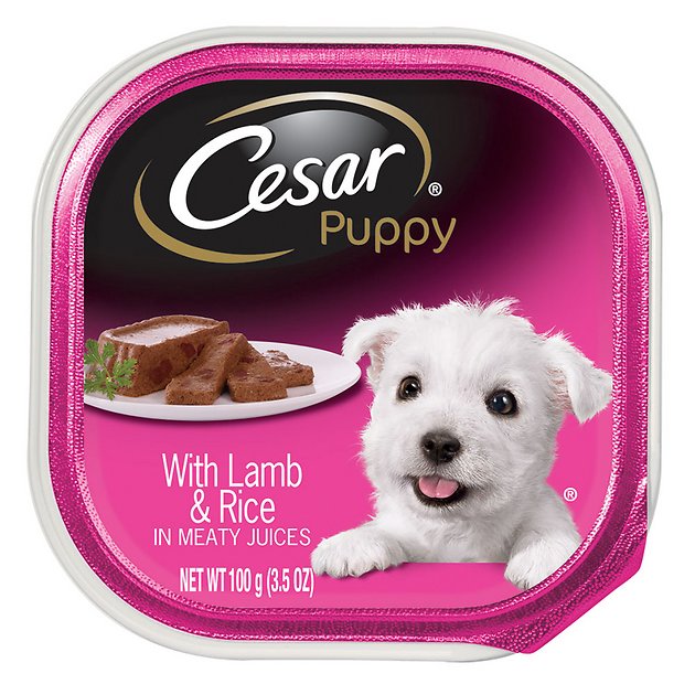 Cesar Puppy With Lamb & Rice Dog Food Trays, 3.5-oz, case of 24